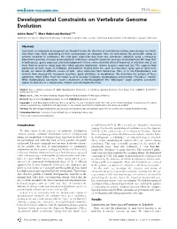 Developmental Constraints on Vertebrate Genome Evolution