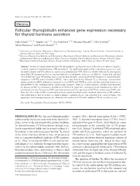 Follicular Thyroglobulin Enhances Gene Expression Necessary for Thyroid Hormone Secretion