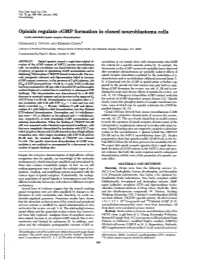 Opioids Regulate Cgmp Formationin Cloned Neuroblastoma Cells
