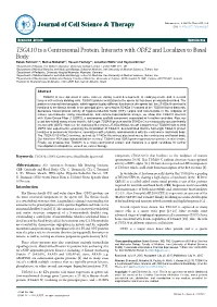 TSGA10 Is a Centrosomal Protein, Interacts with ODF2 and Localizes to Basal Body