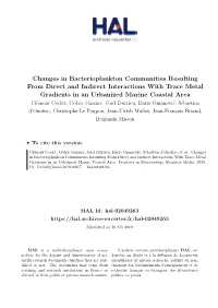 Changes in Bacterioplankton Communities Resulting from Direct and Indirect Interactions with Trace Metal Gradients in an Urbaniz