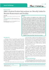 DMC1 Protein-Protein Interactions Are Directly Linked to Meiosis Homeostasis and Fertility