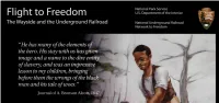 Flight to Freedom U.S