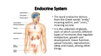 Endocrine System