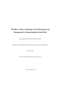 The Effect of Time of Shearing on Wool Production and Management of a Spring-Lambing Merino Flock