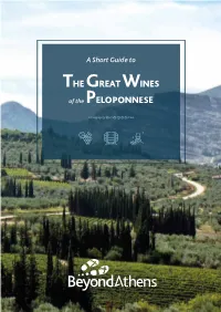 Wine Intro 19 2
