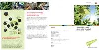 For People and Forests
