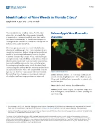 Identification of Vine Weeds in Florida Citrus1 Stephen H