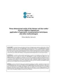 Three-Dimensional Study of the Iberian Red Deer Antler (Cervus Elaphus Hispanicus): Application of Geometric Morphometrics Techniques and Other Methodologies