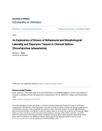 An Exploration of Drivers of Behavioural and Morphological Laterality and Expensive Tissues in Chinook Salmon (Oncorhynchus Tshawytscha)