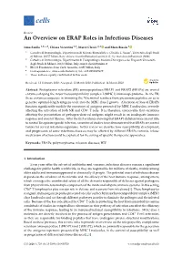 An Overview on ERAP Roles in Infectious Diseases