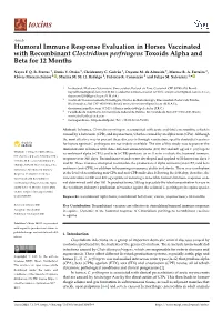Humoral Immune Response Evaluation in Horses Vaccinated with Recombinant Clostridium Perfringens Toxoids Alpha and Beta for 12 Months