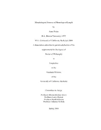 Morphological Sources of Phonological Length