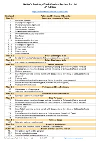 Netter's Anatomy Flash Cards – Section 5 – List 4Th Edition