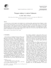 Neogene Sutures in Eastern Indonesia