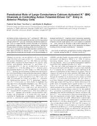 BK Channels in Controlling Action Potential-Driven Ca2؉ Entry in Anterior Pituitary Cells