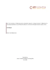 Final Report