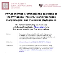 Phylogenomics Illuminates the Backbone of the Myriapoda Tree of Life and Reconciles Morphological and Molecular Phylogenies
