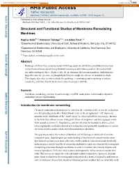 Structural and Functional Studies of Membrane Remodeling Machines