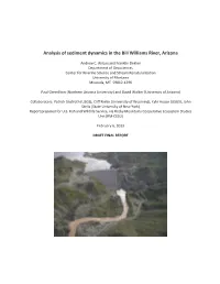 Analysis of Sediment Dynamics in the Bill Williams River, Arizona