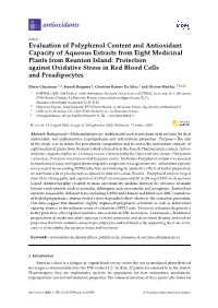 Evaluation of Polyphenol Content and Antioxidant Capacity of Aqueous