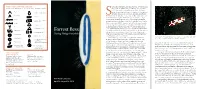 Forrest Bess (1911–1977) Spent Most a Selection of Ideograms from Forrest Bess’S Visions and the Meanings He Assigned