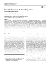 Neuroglobin Expression in the Brain: a Story of Tissue Homeostasis Preservation