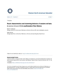 Roost Characteristics and Clustering Behavior of Western Red Bats (Lasiurus Blossevillii) in Southwestern New Mexico