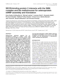 SECIS-Binding Protein 2 Interacts with the SMN Complex and The