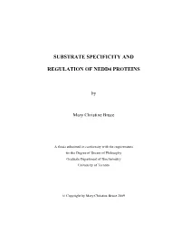Substrate Specificity and Regulation of Nedd4 Proteins
