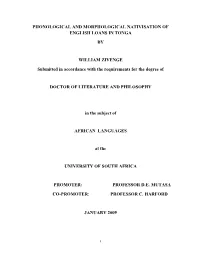 Thesis Zivenge W.Pdf