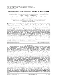 Genetic Diversity of Muscovy Ducks Revealed by Mtdna D-Loop