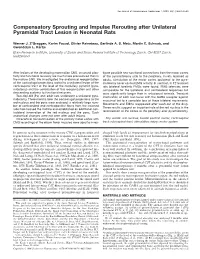 Compensatory Sprouting and Impulse Rerouting After Unilateral Pyramidal Tract Lesion in Neonatal Rats