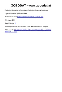Infrageneric Division of the Genus Conocybe - a Classical Approach