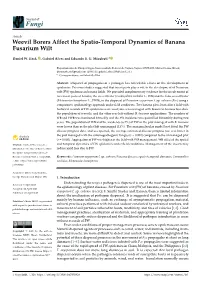 Weevil Borers Affect the Spatio-Temporal Dynamics of Banana Fusarium Wilt
