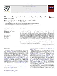 Effect of Soil Chiseling on Soil Structure and Root Growth for a Clayey Soil Under No-Tillage