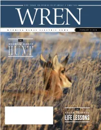 Life Lessons Wren Wyoming Full Page Export with No Printers Marks