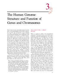 The Human Genome: Structure and Function of Genes and Chromosomes