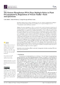The Protein Phosphatase PP2A Plays Multiple Roles in Plant Development by Regulation of Vesicle Trafﬁc—Facts and Questions