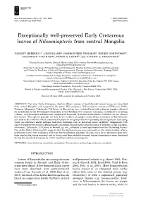 Exceptionally Well-Preserved Early Cretaceous Leaves of Nilssoniopteris from Central Mongolia