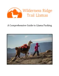 A Comprehensive Guide to Llama Packing