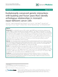 Evolutionarily Conserved Genetic Interactions with Budding And