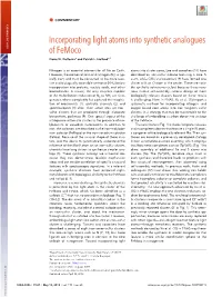Incorporating Light Atoms Into Synthetic Analogues of Femoco Daniel E