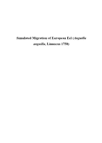 The European Eel (Anguilla Anguilla L.) Its 12 Lifecycle and Reproduction; Possible Causes for Decline of Eel Populations