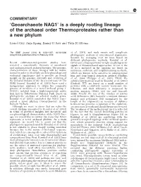 Is a Deeply Rooting Lineage of the Archaeal Order Thermoproteales Rather Than a New Phylum