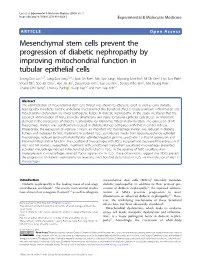 Mesenchymal Stem Cells Prevent the Progression of Diabetic