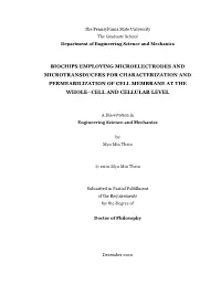 Open MYO THEIN-Phd Dissertation