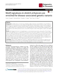 Motif Signatures in Stretch Enhancers Are Enriched for Disease-Associated Genetic Variants