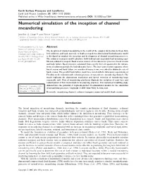 Numerical Simulation of the Inception of Channel Meandering