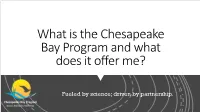 What Is the Chesapeake Bay Program and What Does It Offer Me?